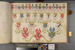 Proband: Haxthausen, Friedrich Heinrich Johann von; Vater: Haxthausen, Wulf von; Mutter: Hanxleden, Mechthild (Mechell) Sophia von: Westfalen, Hzgtm, Ritterschaft