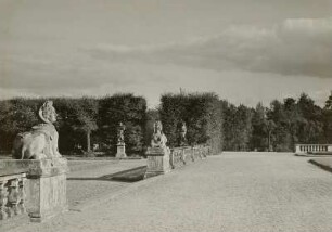 Sphinx : Heidenau-Großsedlitz. Barockgarten Großsedlitz (1719/1723). Parterre zwischen oberem Orangerieparterre und Bowlinggreen. Ansicht mit Sphinx (F. Coudray; Sandstein, um 1728/1730