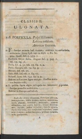 118. Forficula. - 124. Locusta.