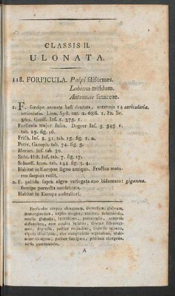 118. Forficula. - 124. Locusta.