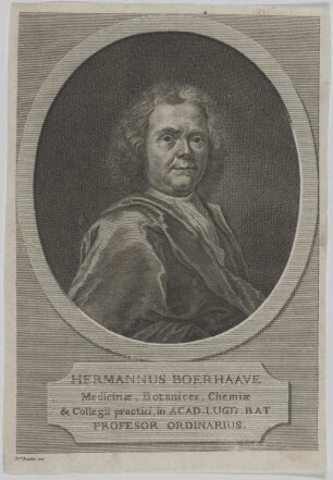 Bildnis des Hermannus Boerhaave