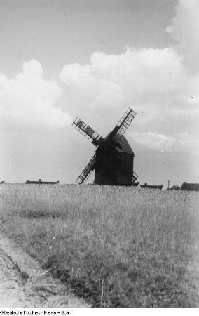 Großpösna. Windmühle