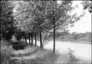 Mittellandkanal, Weidenweg