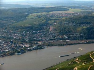 Bingen
