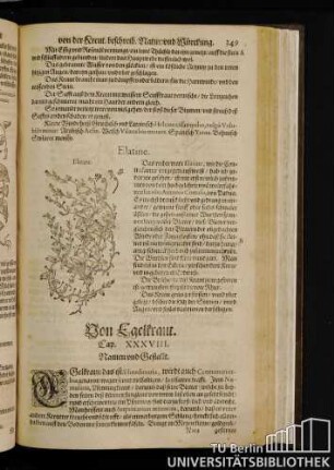 Cap. XXXVIII. Von Egelkraut.