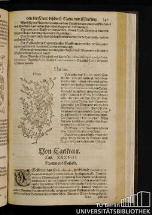 Cap. XXXVIII. Von Egelkraut.