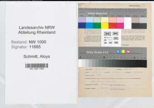Entnazifizierung Aloys Schmitt, geb. 27.05.1891 (Angest.)