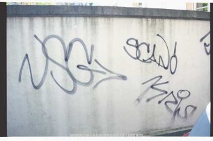 NSG KRiS