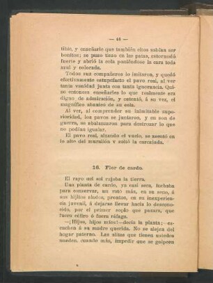 16. Flor de cardo.
