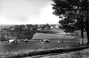 Ortsansicht von der Schmalzgrubner Straße