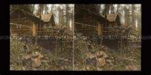 Unterstände unter schützenden Felsen, Vogesen