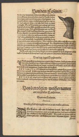 Von den vöglen/ welcher namen am buchstaben F. anhebend.