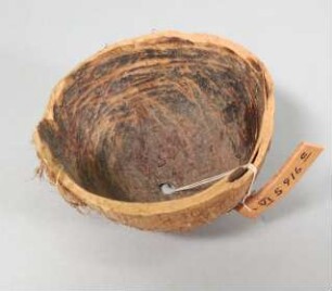 Schale für Farbe