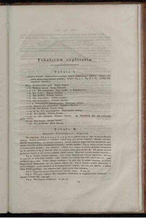 Tabularum explicatio.
