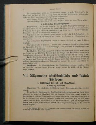VII. Allgemeine wirtschaftliche und soziale Fürsorge.
