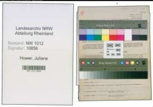 Entnazifizierung Juliane Hower , geb. 06.04.1901 (Verwalterin)