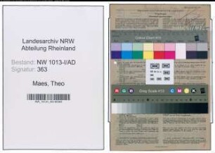 Entnazifizierung Theo Maes , geb. 12.09.1913 (Kaufmaennischer Angestellter)