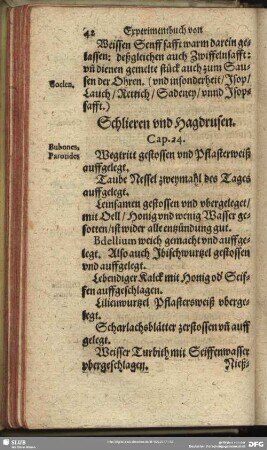 Schlieren und Hagdrusen. Cap. 24.