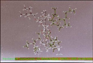 Molekülmodell des Instituts für Radiochemie (IRCh)