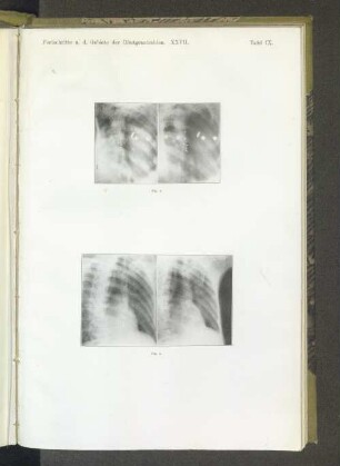 Tafel IX. Fig. 4.