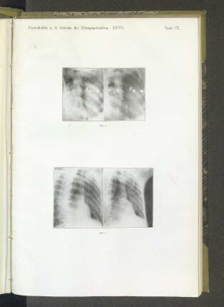 Tafel IX. Fig. 4.