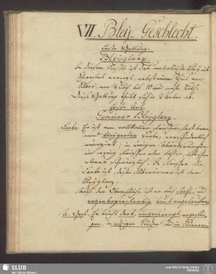 VII. Bley-Geschlecht