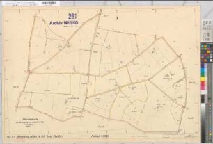 Steinfurt (Burgsteinfurt), Umlegung Hollich, Bl.4 Planabdruck Flur 21