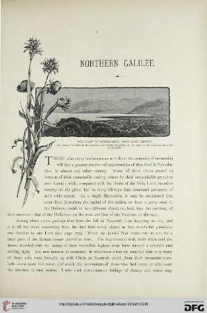 Northern Galilee