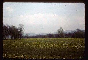 Blühende Wiesen im Dreisamtal