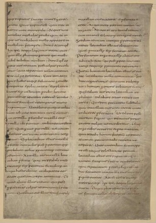 Homiliarius - BSB Clm 29471(1