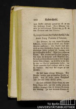 Lycopersicum, der Liebes-Apfel, Solanum, franz. Pomme d'Amour.