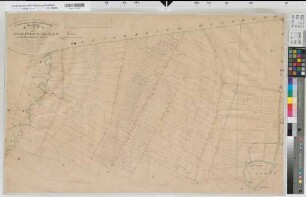 Halverde (Hopsten), Schale (Hopsten), Teilung der Schale-Halverder Mark, Brouillonkarte Bl.7