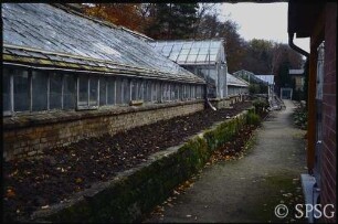 Potsdam, Park Sanssouci, Botanik