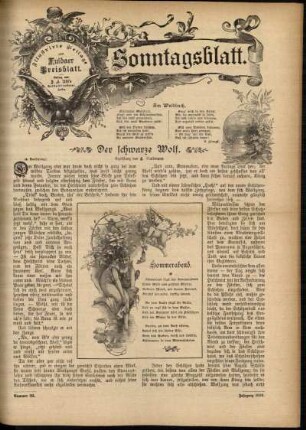 Ausgabe vom Sonntag, den 09. August 1896.