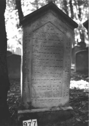 Grabstein 977 (Index: 99899521) Material: Sandstein Zustand: stark verwittert Maße HxBxT: 148x69x20 cm Beschreibung: aufgesockelte Stele mit auskragendem Dreiecksabschluss: Grabstein 977