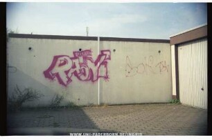RAoNi