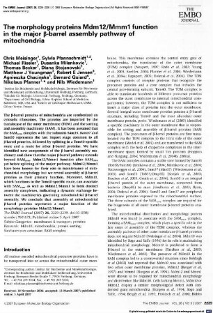 The morphology proteins Mdm12/Mmm1 function in the major beta-barrel assembly pathway of mitochondria