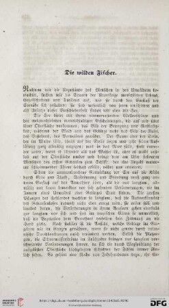 Die wilden Fischer