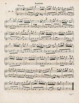 No. 13 Rondoletto