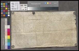 Ebersheim: Notariatsinstrument über Schenkung einiger Weingärten zu Ebersheim an das Augustinerkloster zu Mainz