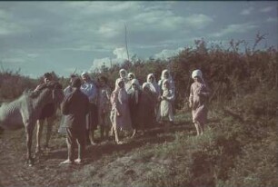 Zweiter Weltkrieg. Sowjetunion. Zur Einquartierung (wahrscheinlich in der Ukraine). Einheimische Bauernmädchen mit zwei deutschen Wehrmachtssoldaten und einem Pferd