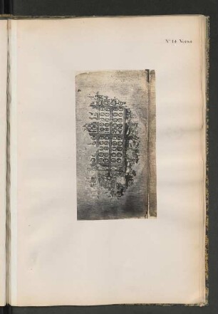 No. 14 Verso