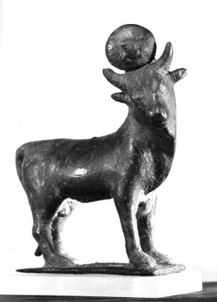 Apis-Stier