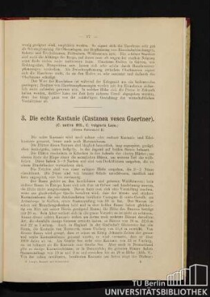 3. Die echte Kastanie (Castanea vesca Gaertner).