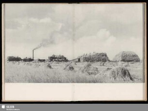 [Arbeit auf dem Feld]