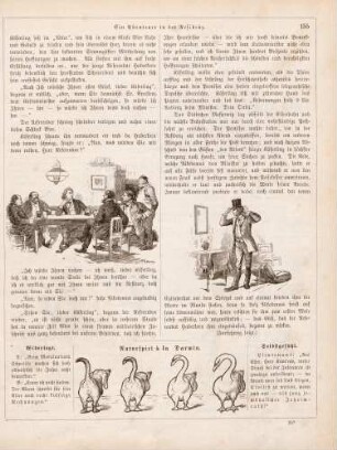 "Ein Abenteuer in der Residenz" "Naturspiel à la Darwin"