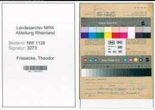 Entnazifizierung Theodor Friesecke , geb. 12.11.1909 (Polizist)