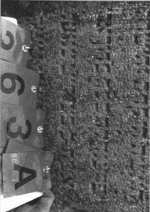 Grabstein 263 (Index: 99786829) Zustand: leicht eingesunken Maße HxBxT: 58x49x6 cm: Grabstein 263A (Detailaufnahme)