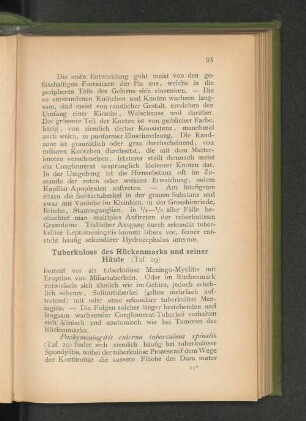 Tuberkulose des Rückenmarks und seiner Häute (Taf. 29)