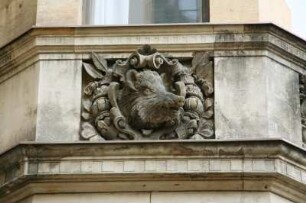 Relief mit Wildschweinkopf : Relief mit Wildschweinkopf. Sandstein. Dresden-Altstadt, Stallhof